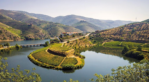 Douro Cruise